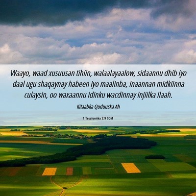 Picture 06 - 1 Tesaloniika 2:9 SOM - Waayo, waad xusuusan tihiin, walaalayaalow, - Bible Verse Picture