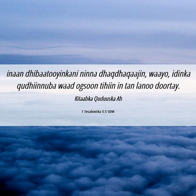Picture 06 - 1 Tesaloniika 3:3 SOM - inaan dhibaatooyinkani ninna dhaqdhaqaajin, - Bible Verse Picture