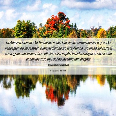 Picture 06 - 1 Tesaloniika 3:6 SOM - Laakiinse haatan markii Timoteyos nooga kiin - Bible Verse Picture