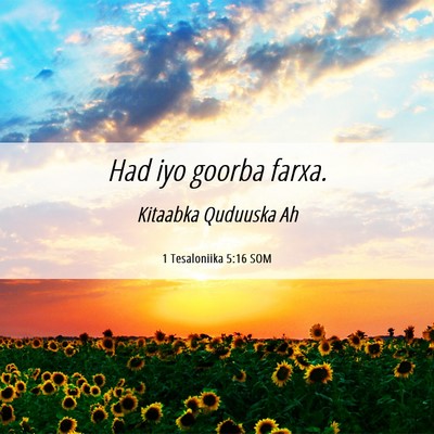 Picture 06 - 1 Tesaloniika 5:16 SOM - Had iyo goorba - Bible Verse Picture