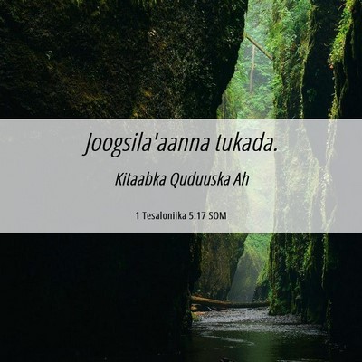 Picture 06 - 1 Tesaloniika 5:17 SOM - Joogsila'aanna - Bible Verse Picture