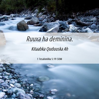 Picture 06 - 1 Tesaloniika 5:19 SOM - Ruuxa ha - Bible Verse Picture