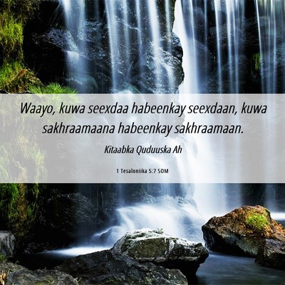 Picture 06 - 1 Tesaloniika 5:7 SOM - Waayo, kuwa seexdaa habeenkay seexdaan, kuwa - Bible Verse Picture