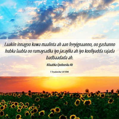 Picture 06 - 1 Tesaloniika 5:8 SOM - Laakiin innagoo kuwa maalinta ah aan - Bible Verse Picture