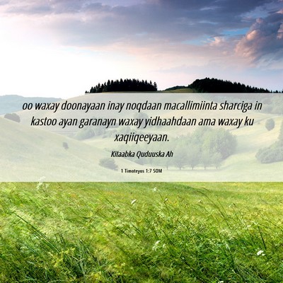 Picture 06 - 1 Timoteyos 1:7 SOM - oo waxay doonayaan inay noqdaan macallimiinta - Bible Verse Picture