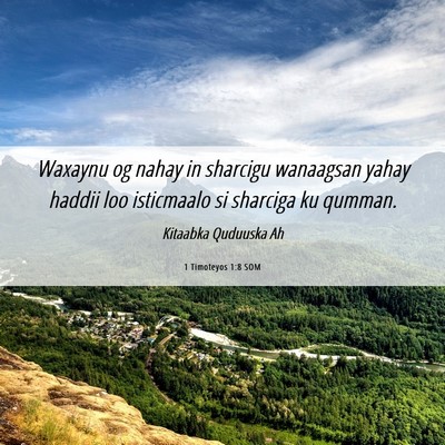 Picture 06 - 1 Timoteyos 1:8 SOM - Waxaynu og nahay in sharcigu wanaagsan yahay - Bible Verse Picture
