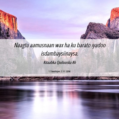 Picture 06 - 1 Timoteyos 2:11 SOM - Naagtu aamusnaan wax ha ku barato iyadoo - Bible Verse Picture