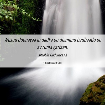 Picture 06 - 1 Timoteyos 2:4 SOM - Wuxuu doonayaa in dadka oo dhammu badbaado oo ay - Bible Verse Picture
