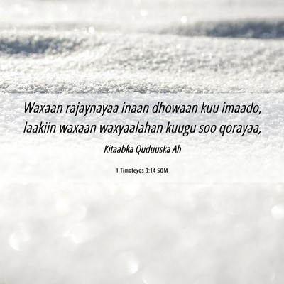 Picture 06 - 1 Timoteyos 3:14 SOM - Waxaan rajaynayaa inaan dhowaan kuu imaado, - Bible Verse Picture