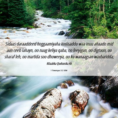 Picture 06 - 1 Timoteyos 3:2 SOM - Sidaas daraaddeed hoggaamiyaha kiniisaddu waa - Bible Verse Picture