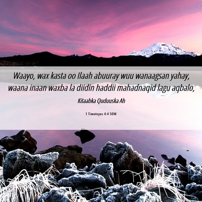 Picture 06 - 1 Timoteyos 4:4 SOM - Waayo, wax kasta oo Ilaah abuuray wuu wanaagsan - Bible Verse Picture