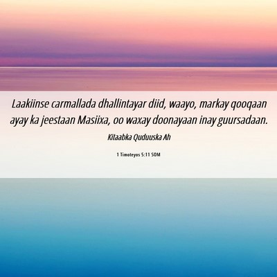 Picture 06 - 1 Timoteyos 5:11 SOM - Laakiinse carmallada dhallintayar diid, waayo, - Bible Verse Picture