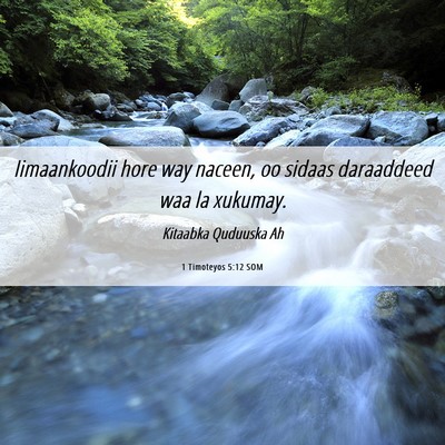 Picture 06 - 1 Timoteyos 5:12 SOM - Iimaankoodii hore way naceen, oo sidaas - Bible Verse Picture