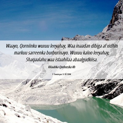 Picture 06 - 1 Timoteyos 5:18 SOM - Waayo, Qorniinku wuxuu leeyahay, Waa inaadan - Bible Verse Picture