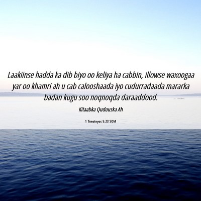 Picture 06 - 1 Timoteyos 5:23 SOM - Laakiinse hadda ka dib biyo oo keliya ha cabbin, - Bible Verse Picture