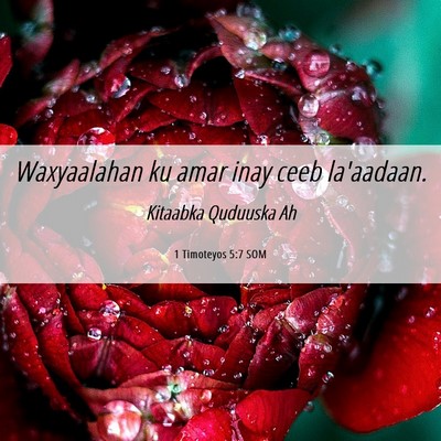 Picture 06 - 1 Timoteyos 5:7 SOM - Waxyaalahan ku amar inay ceeb - Bible Verse Picture