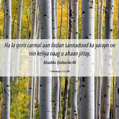 Picture 06 - 1 Timoteyos 5:9 SOM - Ha la qoro carmal aan lixdan sannadood ka yarayn - Bible Verse Picture