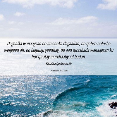 Picture 06 - 1 Timoteyos 6:12 SOM - Dagaalka wanaagsan oo iimaanka dagaallan, oo - Bible Verse Picture