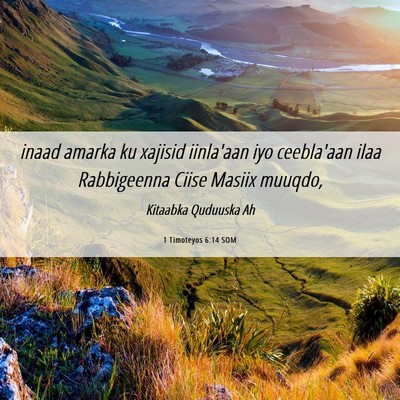 Picture 06 - 1 Timoteyos 6:14 SOM - inaad amarka ku xajisid iinla'aan iyo ceebla'aan - Bible Verse Picture