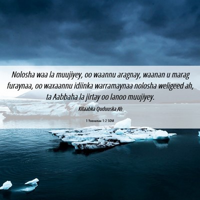 Picture 06 - 1 Yooxanaa 1:2 SOM - Nolosha waa la muujiyey, oo waannu aragnay, - Bible Verse Picture