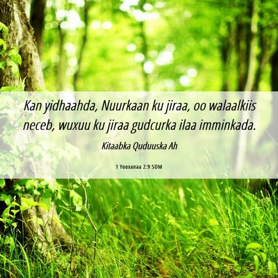Picture 06 - 1 Yooxanaa 2:9 SOM - Kan yidhaahda, Nuurkaan ku jiraa, oo walaalkiis - Bible Verse Picture