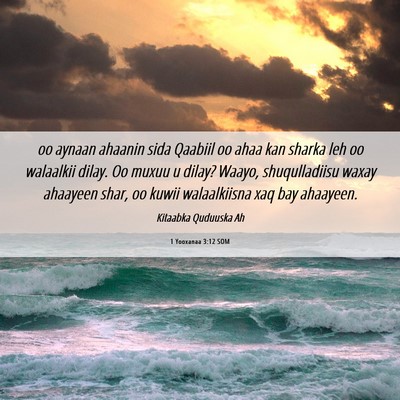 Picture 06 - 1 Yooxanaa 3:12 SOM - oo aynaan ahaanin sida Qaabiil oo ahaa kan sharka - Bible Verse Picture