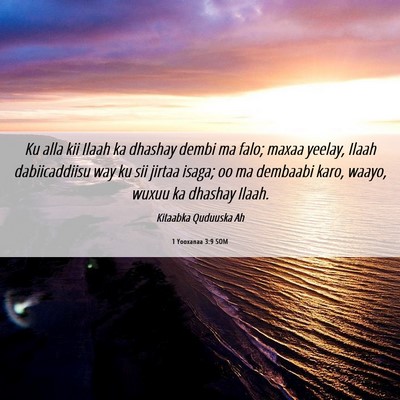 Picture 06 - 1 Yooxanaa 3:9 SOM - Ku alla kii Ilaah ka dhashay dembi ma falo; maxaa - Bible Verse Picture