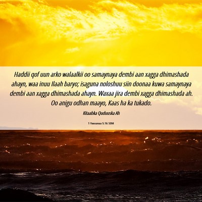 Picture 06 - 1 Yooxanaa 5:16 SOM - Haddii qof uun arko walaalkii oo samaynaya dembi - Bible Verse Picture