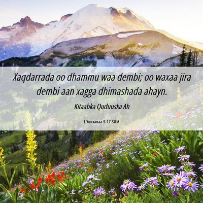 Picture 06 - 1 Yooxanaa 5:17 SOM - Xaqdarrada oo dhammu waa dembi; oo waxaa jira - Bible Verse Picture