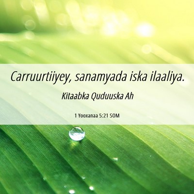 Picture 06 - 1 Yooxanaa 5:21 SOM - Carruurtiiyey, sanamyada iska - Bible Verse Picture