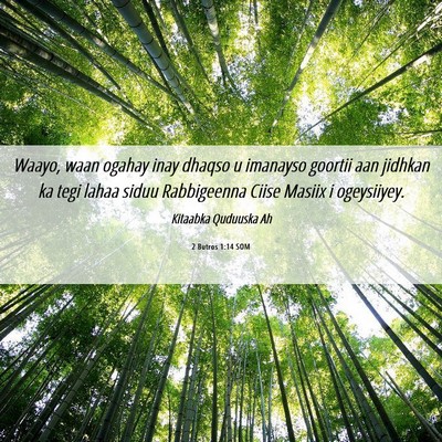 Picture 06 - 2 Butros 1:14 SOM - Waayo, waan ogahay inay dhaqso u imanayso goortii - Bible Verse Picture