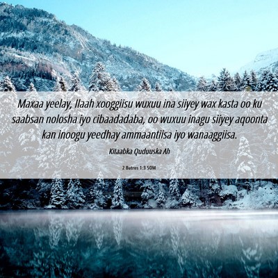 Picture 06 - 2 Butros 1:3 SOM - Maxaa yeelay, Ilaah xooggiisu wuxuu ina siiyey - Bible Verse Picture