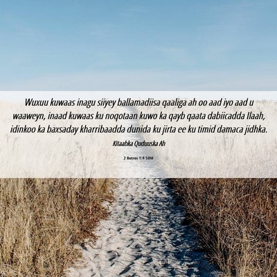 Picture 06 - 2 Butros 1:4 SOM - Wuxuu kuwaas inagu siiyey ballamadiisa qaaliga ah - Bible Verse Picture
