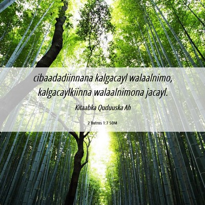 Picture 06 - 2 Butros 1:7 SOM - cibaadadiinnana kalgacayl walaalnimo, - Bible Verse Picture