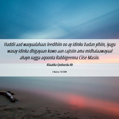 Picture 06 - 2 Butros 1:8 SOM - Haddii aad waxyaalahaas leedihiin oo ay idinku - Bible Verse Picture