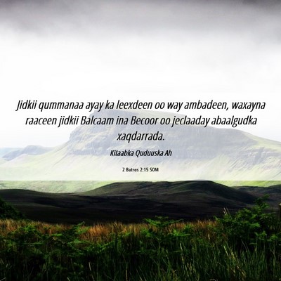 Picture 06 - 2 Butros 2:15 SOM - Jidkii qummanaa ayay ka leexdeen oo way ambadeen, - Bible Verse Picture