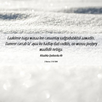 Picture 06 - 2 Butros 2:16 SOM - Laakiinse isaga waxaa loo canaantay - Bible Verse Picture