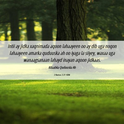 Picture 06 - 2 Butros 2:21 SOM - Intii ay jidka xaqnimada aqoon lahaayeen oo ay - Bible Verse Picture