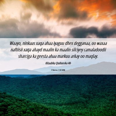 Picture 06 - 2 Butros 2:8 SOM - Waayo, ninkaas xaqa ahaa iyaguu dhex degganaa, oo - Bible Verse Picture