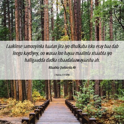 Picture 06 - 2 Butros 3:7 SOM - Laakiinse samooyinka haatan jira iyo dhulkaba - Bible Verse Picture