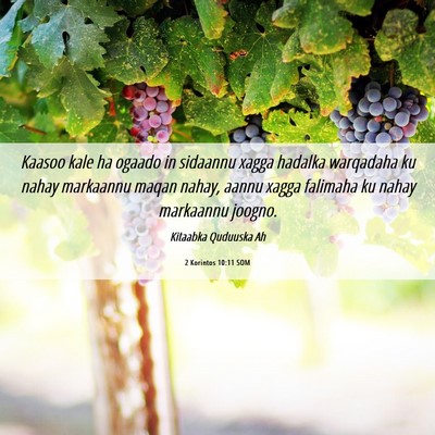 Picture 06 - 2 Korintos 10:11 SOM - Kaasoo kale ha ogaado in sidaannu xagga hadalka - Bible Verse Picture