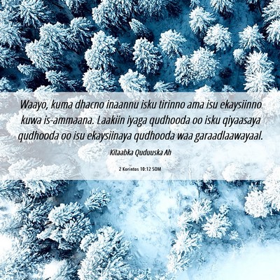Picture 06 - 2 Korintos 10:12 SOM - Waayo, kuma dhacno inaannu isku tirinno ama isu - Bible Verse Picture