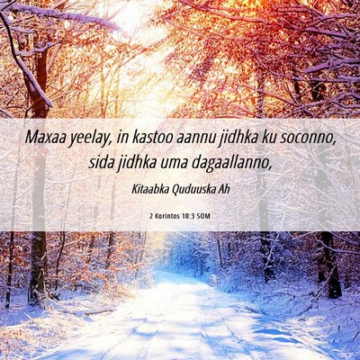Picture 06 - 2 Korintos 10:3 SOM - Maxaa yeelay, in kastoo aannu jidhka ku soconno, - Bible Verse Picture