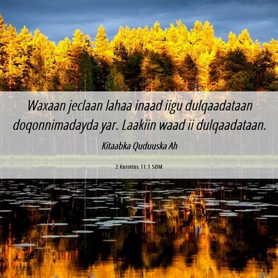 Picture 06 - 2 Korintos 11:1 SOM - Waxaan jeclaan lahaa inaad iigu dulqaadataan - Bible Verse Picture