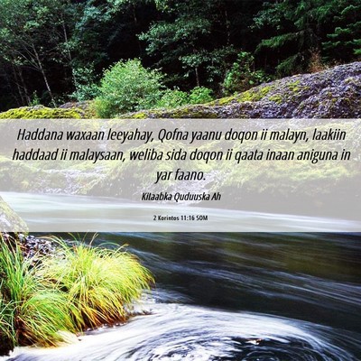 Picture 06 - 2 Korintos 11:16 SOM - Haddana waxaan leeyahay, Qofna yaanu doqon ii - Bible Verse Picture
