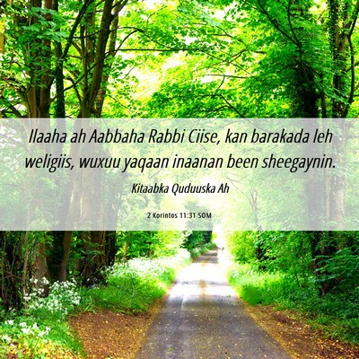 Picture 06 - 2 Korintos 11:31 SOM - Ilaaha ah Aabbaha Rabbi Ciise, kan barakada leh - Bible Verse Picture