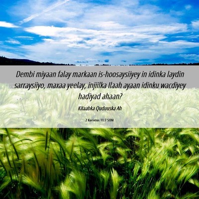 Picture 06 - 2 Korintos 11:7 SOM - Dembi miyaan falay markaan is-hoosaysiiyey in - Bible Verse Picture