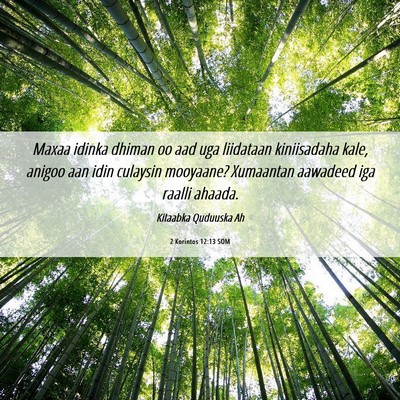 Picture 06 - 2 Korintos 12:13 SOM - Maxaa idinka dhiman oo aad uga liidataan - Bible Verse Picture
