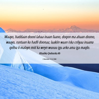 Picture 06 - 2 Korintos 12:6 SOM - Waayo, haddaan dooni lahaa inaan faano, doqon ma - Bible Verse Picture