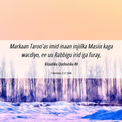 Picture 06 - 2 Korintos 2:12 SOM - Markaan Taroo'as imid inaan injiilka Masiix kaga - Bible Verse Picture